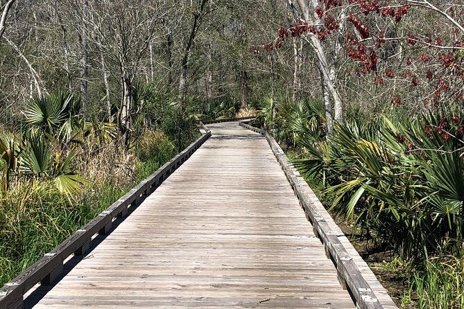 Swamp - Eco - Cruise and Walking Tour - The Sum Up: Who Will Love This Tour?