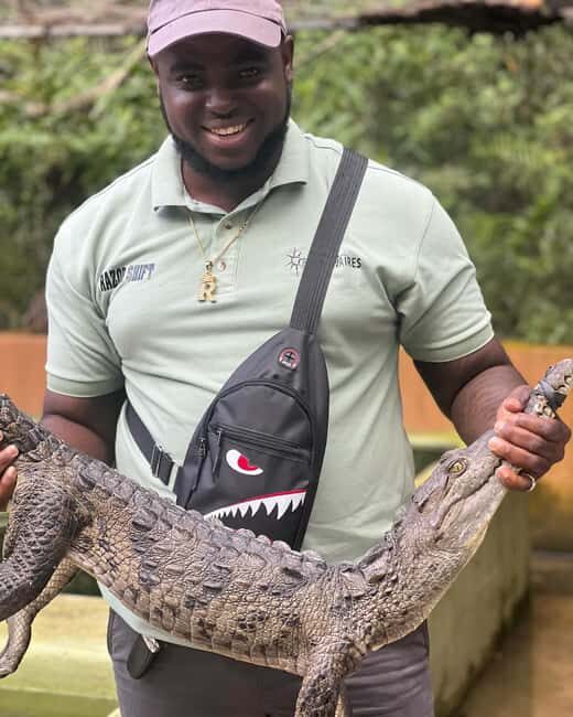 Swamp Safari and Rose Hall Great House Day Tour - The Sum Up