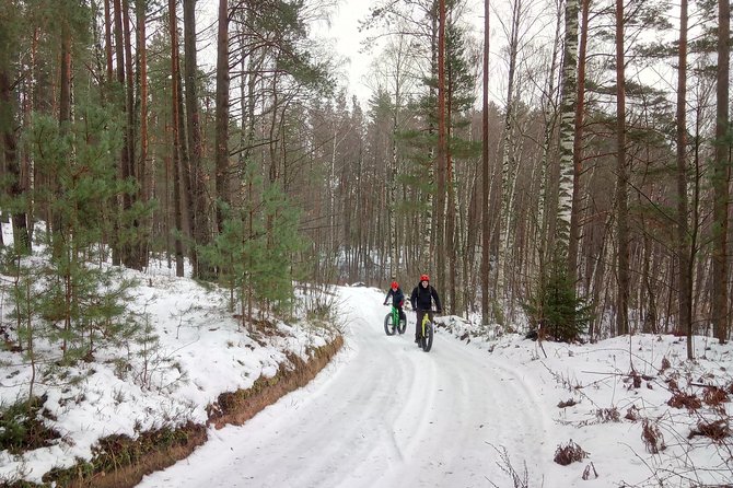 Swamps & Bogs Fat Bike Tour in Visaginas - Frequently Asked Questions