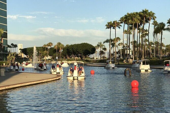 Swan Boat Rental at Rainbow Lagoon in Long Beach - The Sum Up
