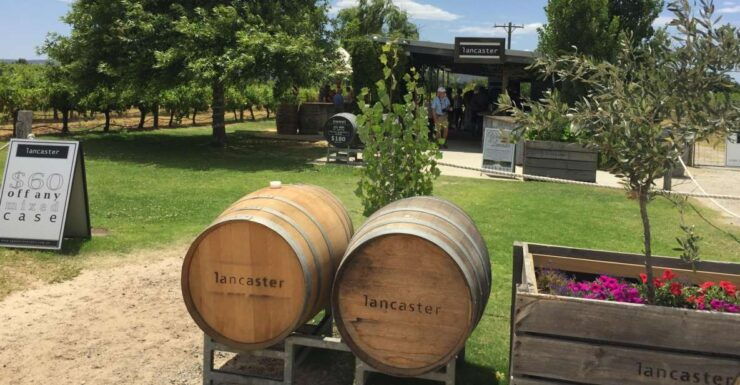 Swan Valley: Full-Day Wine Tour With Lunch - Tour Details