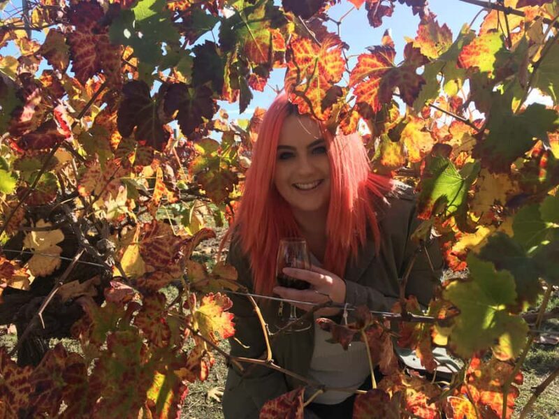 Swan Valley: Out for the Afternoon Wine Tasting with Lunch - Transportation and Convenience