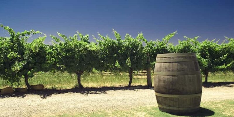 Swan Valley Private Tour - Practical Details and Value