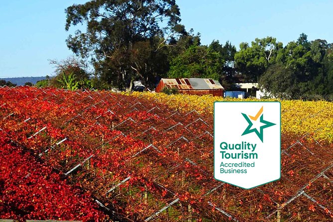 Swan Valley Region (Private) Day Tour - Pricing, Reviews, and Additional Information