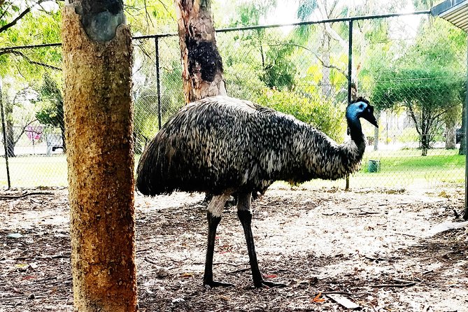 Swan Valley Tour - Pickup and Meeting Points