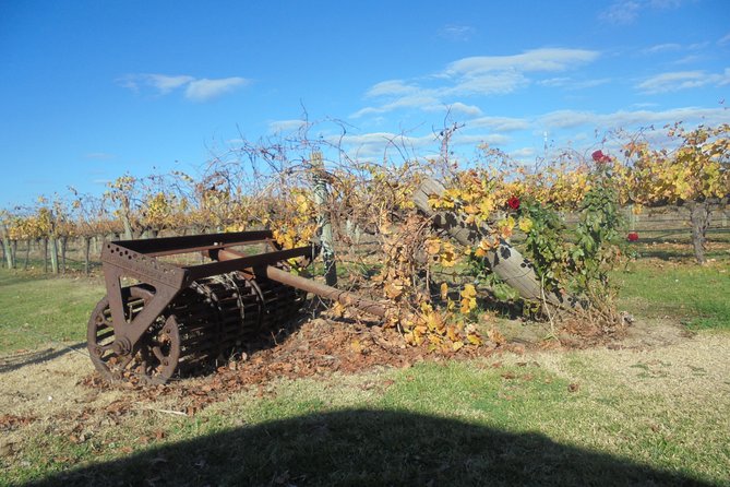 Swan Valley Tour From Perth: Wine, Beer and Chocolate Tastings - The Sum Up