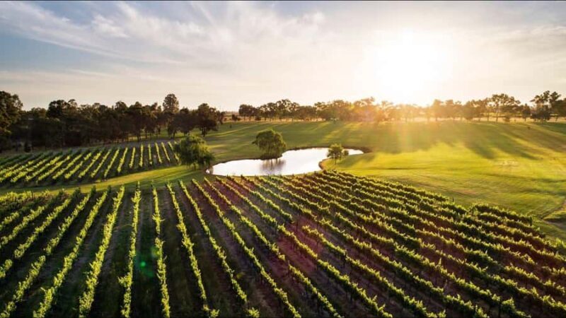 Swan Valley: Tour with 5 star Culinary Chefs 5 course lunch. - The Itinerary Breakdown: What You Can Expect