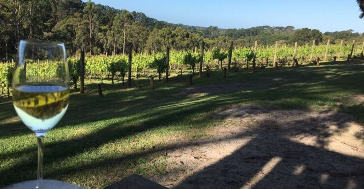 Swan Valley Wine Discovery: Private Tour From Perth - Tour Booking Details