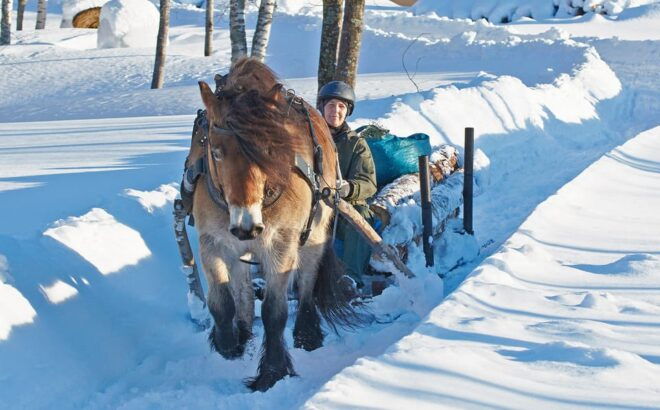 Sweden: Work in the Forest With Horses - Included Features Overview