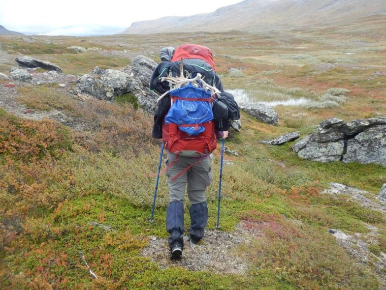 Swedish Lapland: A trekking week with helicopterflight - The Sum Up