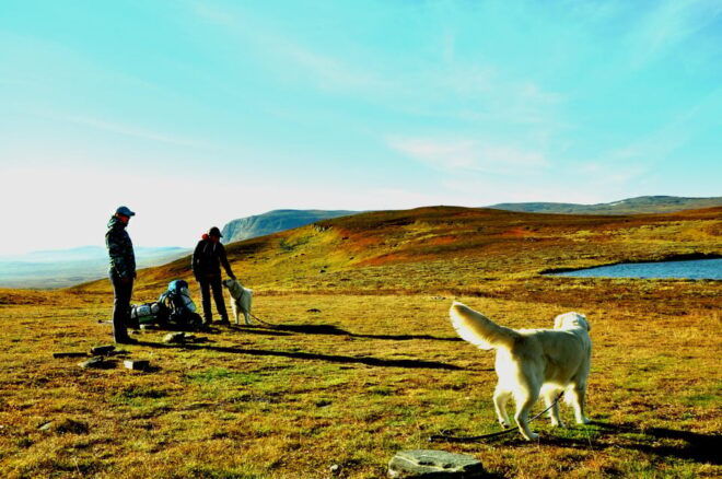 Swedish Lapland: a Trekking Week With Helicopterflight - Participant Restrictions