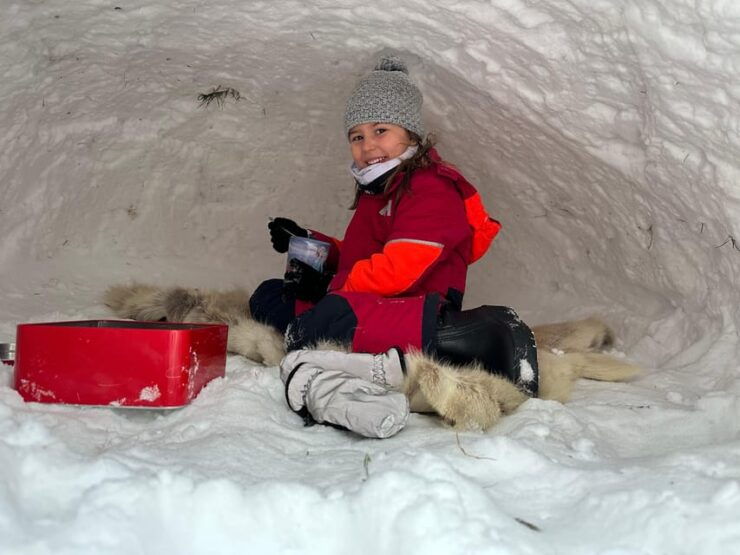 Swedish Lapland : Sled Dog and Reindeer Farm With the Family - Pricing Details