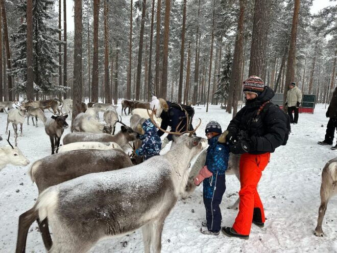 Swedish Lapland : Sled Dog and Reindeer Farm With the Family - Accommodation Options