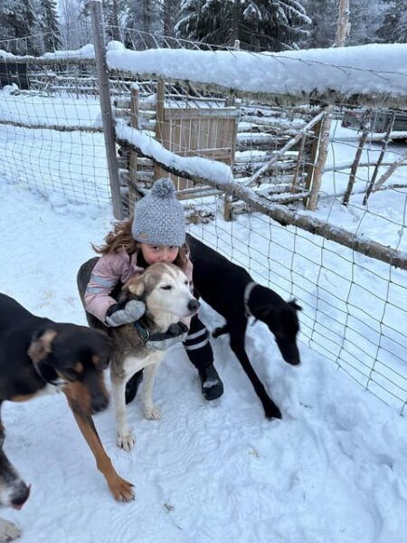 Swedish Lapland : Sled Dog and Reindeer Farm With the Family - Amenities Provided