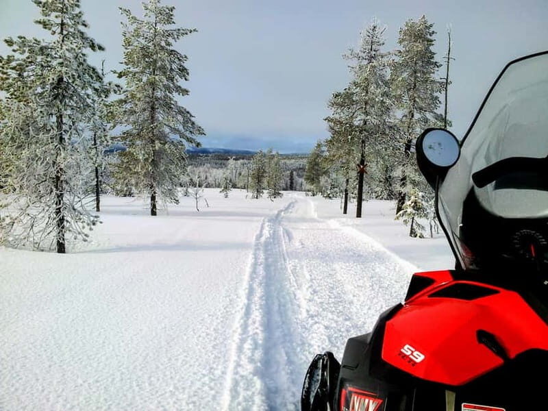 Swedish Lapland: Snowmobile safari - The Sum Up: The Perfect Arctic Day Out