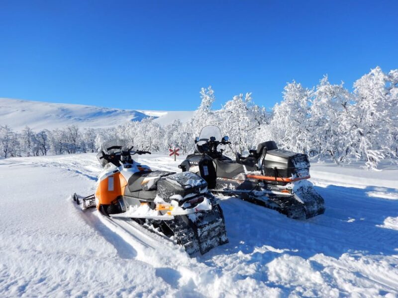 Swedish Lapland: Snowmobile safari - FAQs