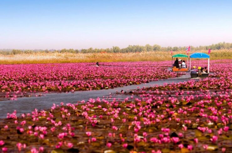 Sweet Boat Trip Ever Red Lotus Lake Udonthani - Trip Duration and Pickup Details