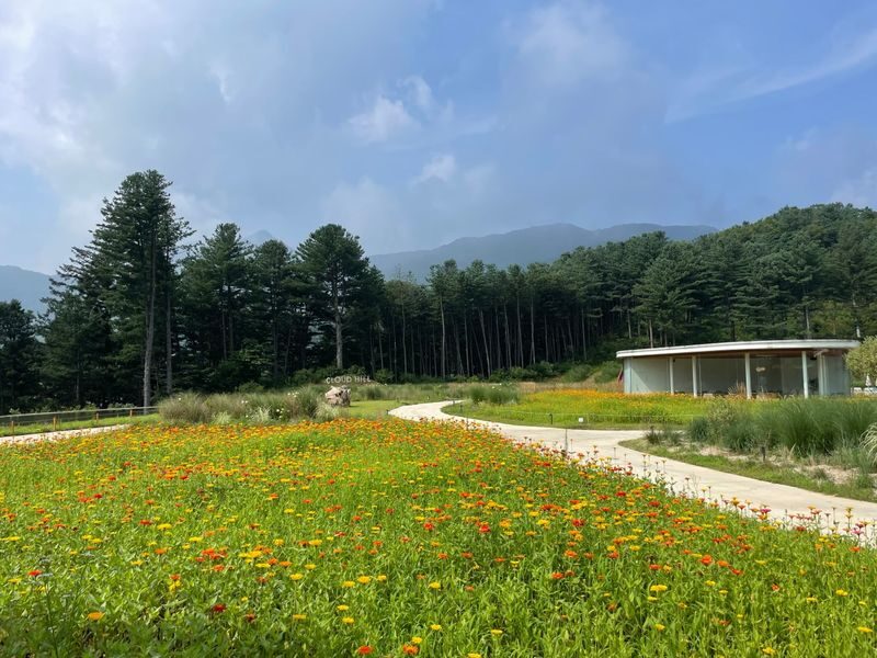 Sweet Day in Gapyeong:Sheep Ranch&Strawberry Picking(Lunch Included) - A long lunch, not a rushed snack