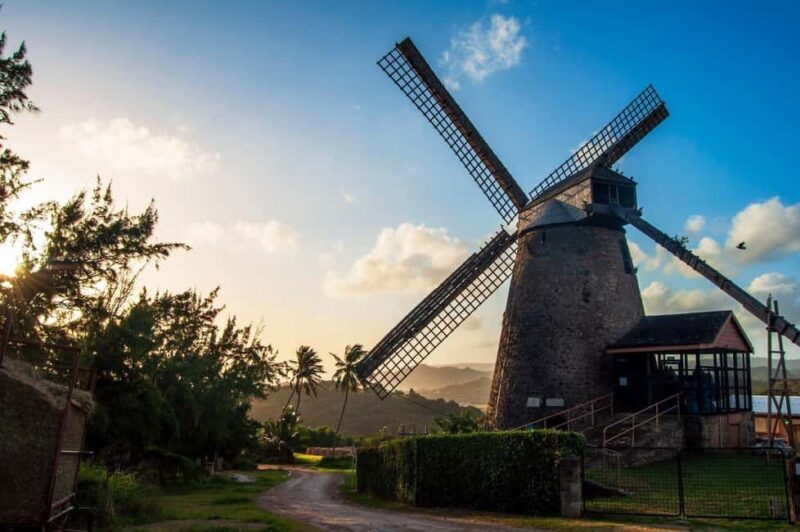 Sweet Life Island Tours - Final Thoughts: Is It Worth It?