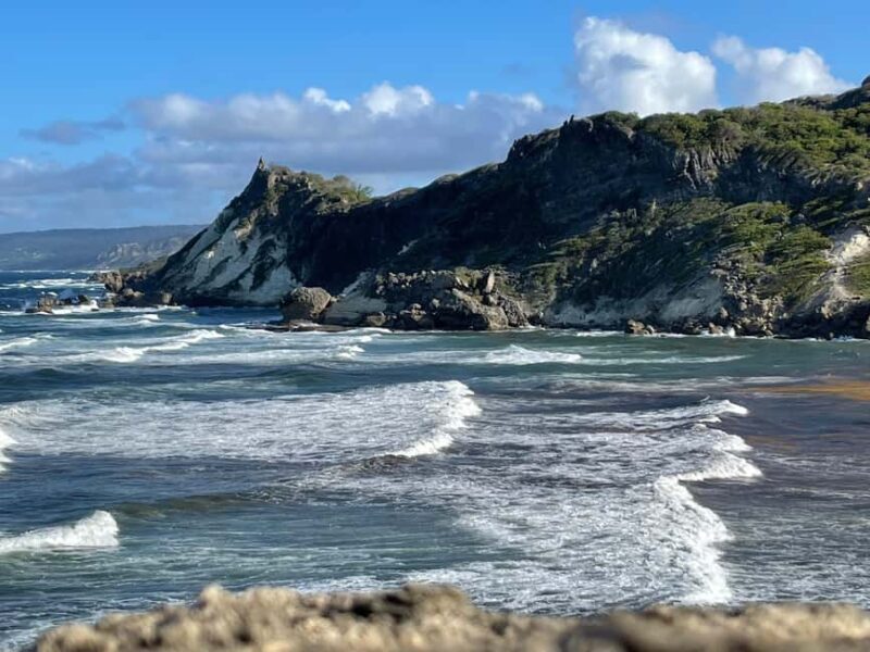 Sweet Life Island Tours - FAQ