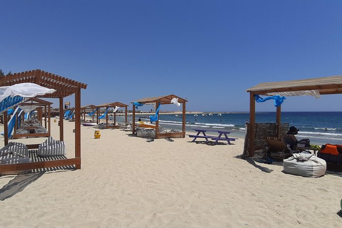 Swim Alongside Sea Turtles in Abu Dabbab, Marsa Alam  - Safaga - Swimming and Snorkeling in Crystal Clear Waters