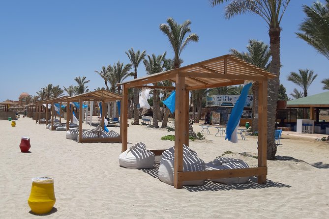Swim Alongside Sea Turtles in Abu Dabbab, Marsa Alam  - Safaga - Capturing Incredible Underwater Photos With Guides
