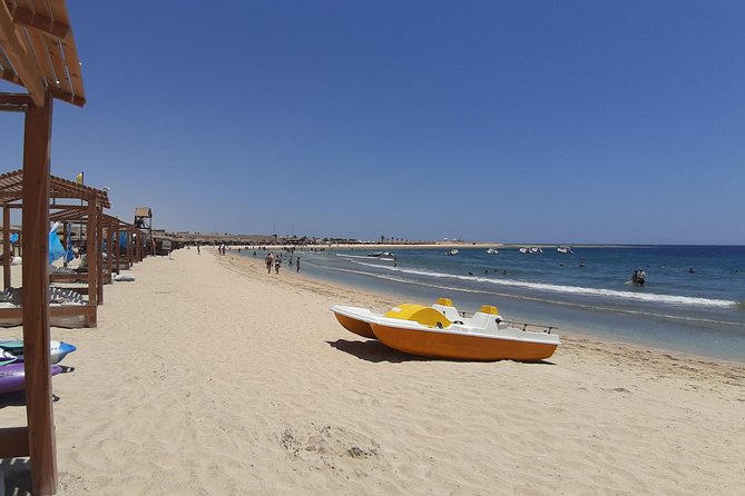 Swim Alongside Sea Turtles in Abu Dabbab, Marsa Alam  - Safaga - The Sum Up