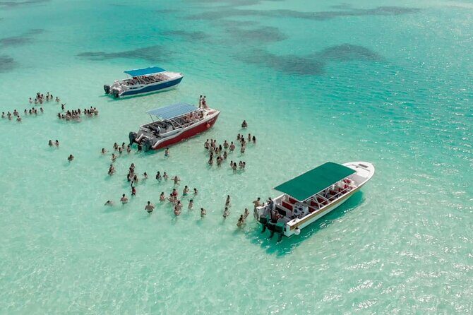 Swim and Relax in Tropical Paradise to Saona Island - An In-Depth Look at the Saona Island Experience