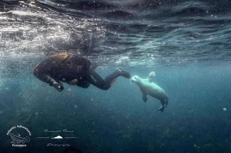 Swim and Snorkel with Seals. Boat Trip Penzance Cornwall - The Itinerary in Detail: What to Expect