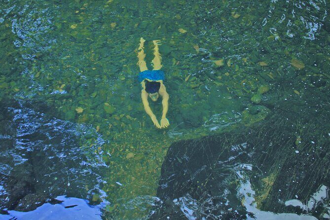 Swim, Explore & Identify Tropical Flora - Who Should Consider This Tour?