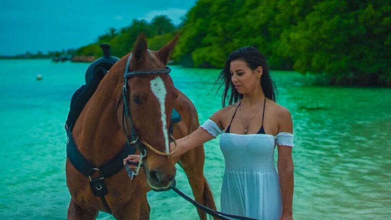 Swim Horse fom Punta Cana - A Closer Look at the Experience