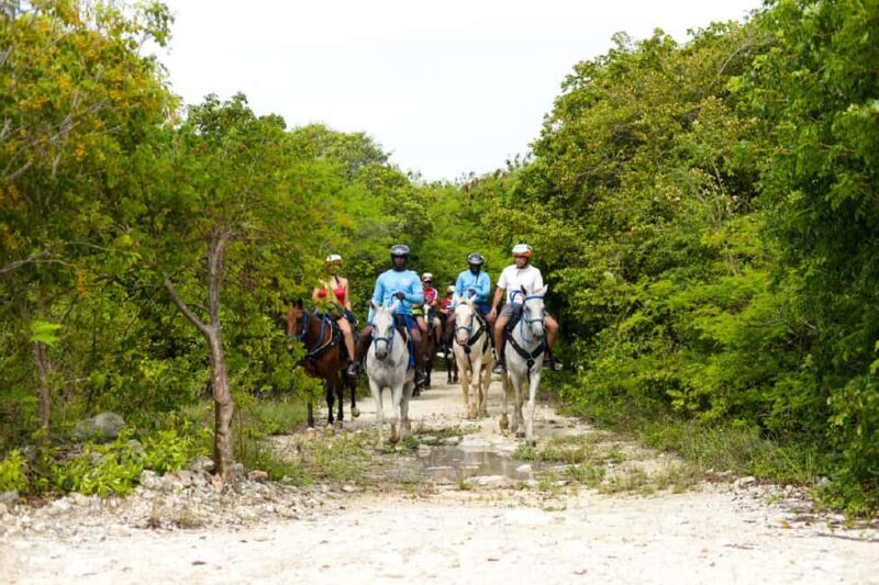Swim Horse fom Punta Cana - The Experience Provider: Gray Line Dominican Republic