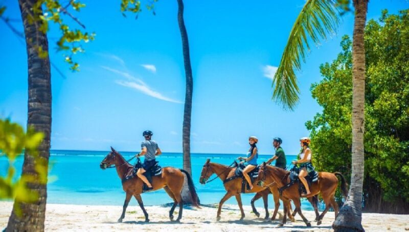 Swim Horse fom Punta Cana - FAQs
