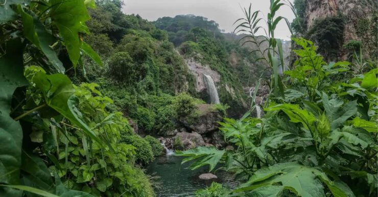 Swim in Lush Springs and Waterfalls in Guadalajara - Itinerary and Highlights