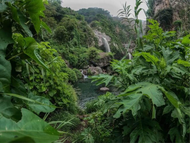 Swim in Lush Springs and Waterfalls in Guadalajara - Guided Experience