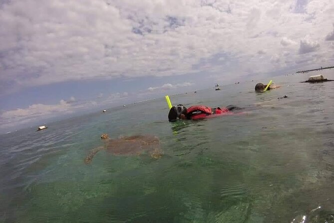 Swim With Akumal Turtles - Other Activities to Enjoy in Akumal After Swimming With Turtles
