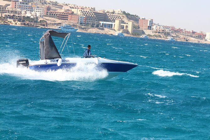 Swim With Dolphin by Private Speed Boat and Sub Wing Game - Hurghada - Inclusions