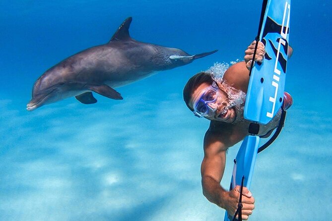 Swim With Dolphin by Private Speed Boat and Sub Wing Game - Hurghada - Reservation and Confirmation