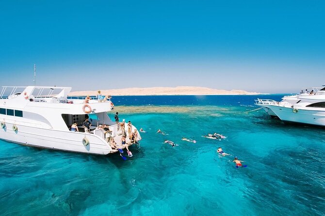 Swim With Dolphin in Dolphin House Satayeh Reef Snorkeling Sea Trip - Good To Know