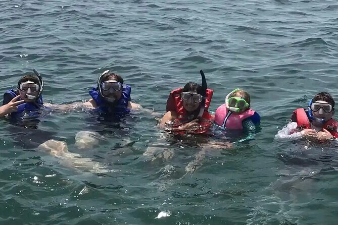 Swim with Dolphins And Snorkeling Group Tour - An Introduction to the Panama City Beach Dolphin and Snorkel Tour