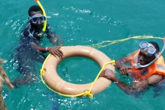 Swim With Dolphins in Wasini Island. - Background