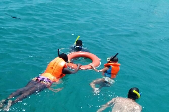 Swim With Dolphins in Wasini Island. - The Sum Up
