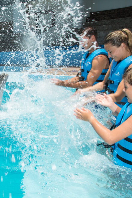 Swim With Dolphins Premium - Interactive Aquarium Cancun - Inclusions and Restrictions