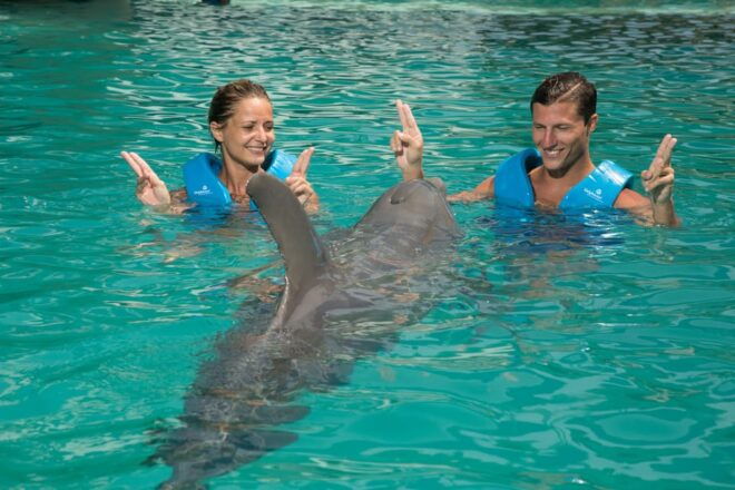 Swim With Dolphins Premium - Interactive Aquarium Cancun - Meeting Point and What to Bring