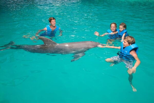 Swim With Dolphins Premium - Interactive Aquarium Cancun - Dolphin Interaction