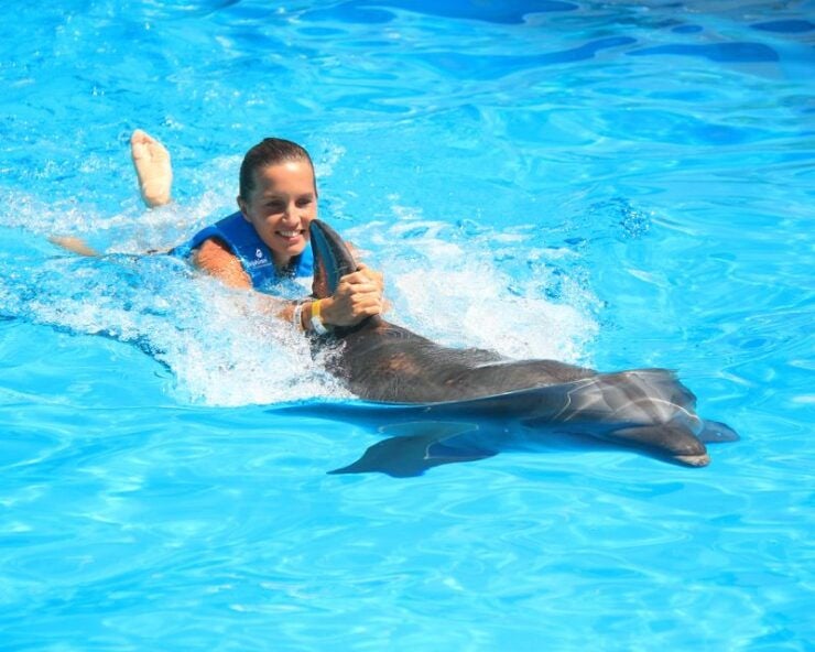 Swim With Dolphins Ride - Interactive Aquarium Cancun - Experience Details
