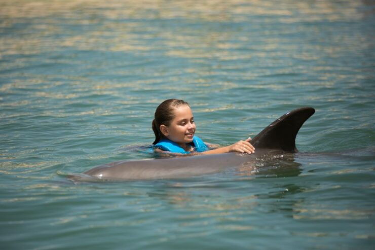 Swim With Dolphins Ride - Playa Mujeres - Experience Description