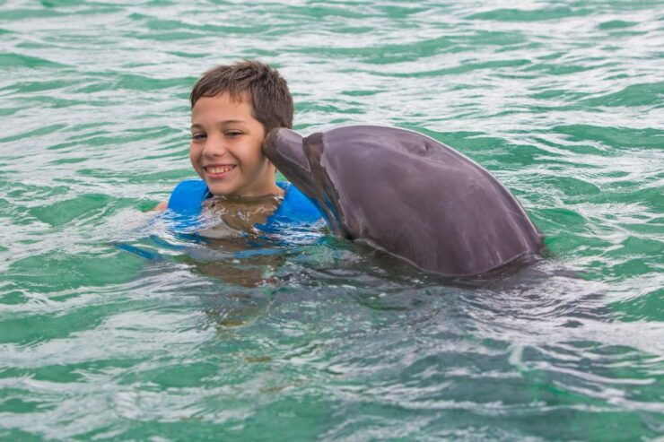 Swim With Dolphins Ride - Puerto Morelos - Booking and Reservation Details