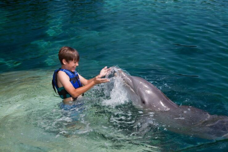 Swim With Dolphins Splash - Puerto Morelos - Booking Details
