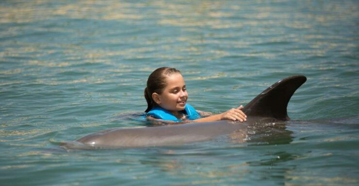 Swim With Dolphins Splash - Punta Cancun - Experience Highlights